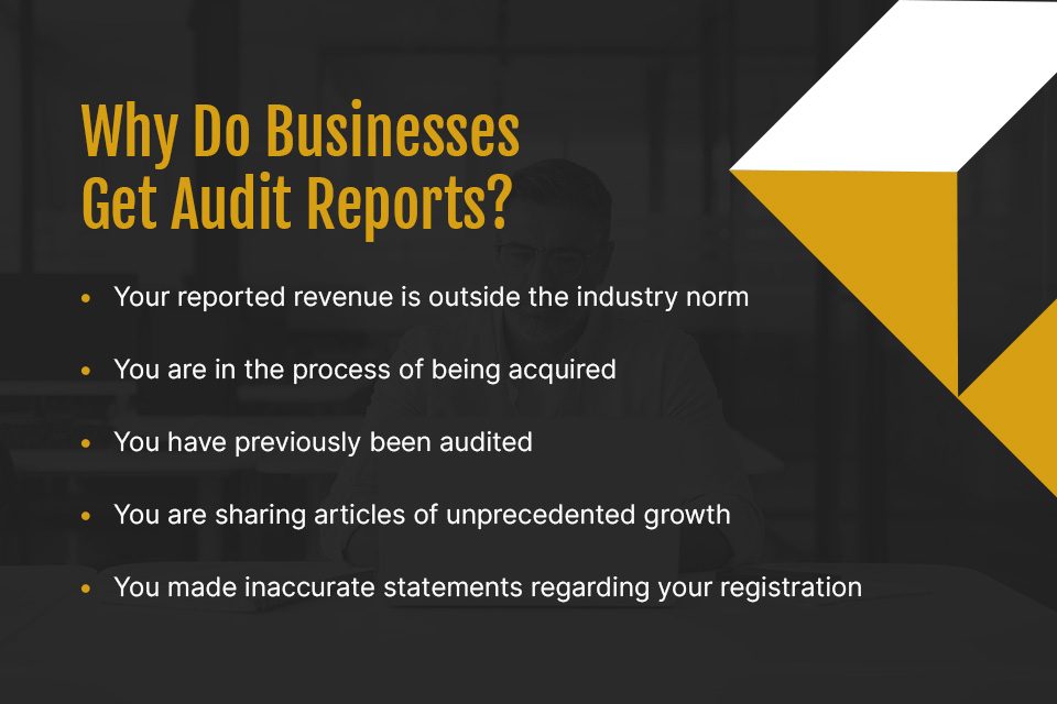 why do businesses get audit reports?